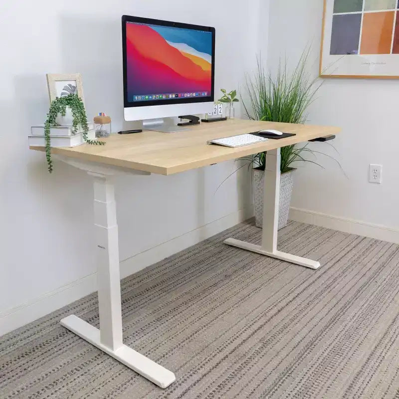 Bureau assis-debout électrique à deux moteurs avec plateau de 55 pouces, érable et blanc