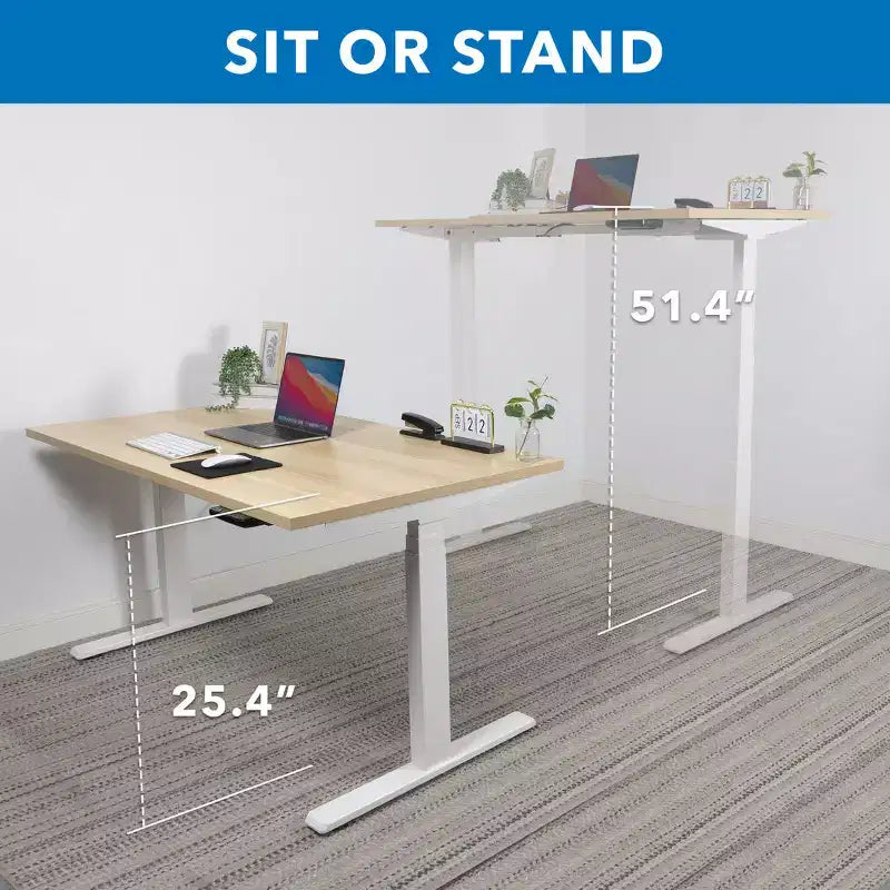 Bureau assis-debout électrique à deux moteurs avec plateau de 55 pouces, érable et blanc