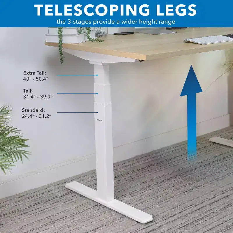 Bureau assis-debout électrique à deux moteurs avec plateau de 55 pouces, érable et blanc