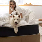 Matelas hybride et en mousse à mémoire de forme 12 pouces - Fermeté moyenne certifiée CertiPUR-US - Soutien adaptatif, soulagement de la pression - Fabriqué aux États-Unis