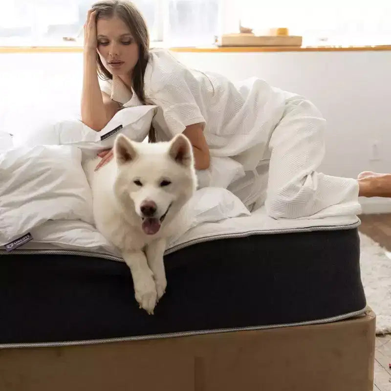 Matelas hybride et en mousse à mémoire de forme 12 pouces - Fermeté moyenne certifiée CertiPUR-US - Soutien adaptatif, soulagement de la pression - Fabriqué aux États-Unis